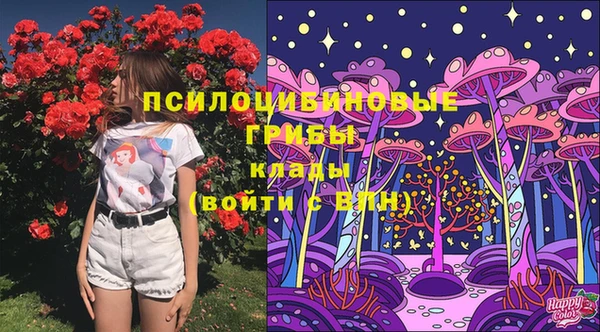 бошки Богданович