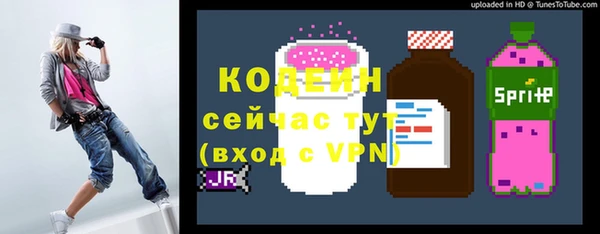 крисы Бронницы