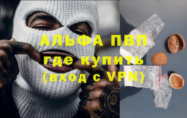 крисы Бронницы