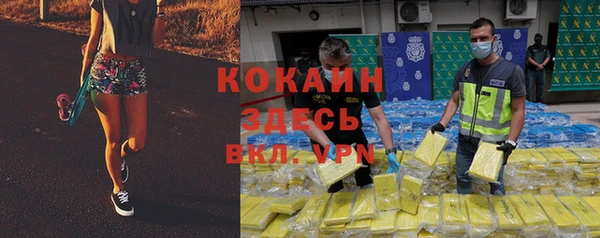 бошки Богданович