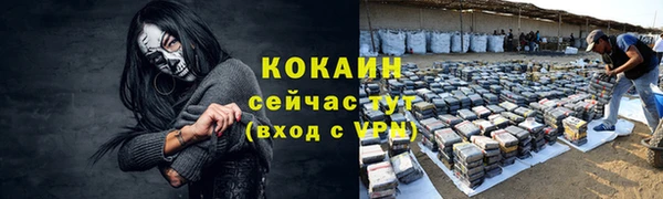 бошки Богданович
