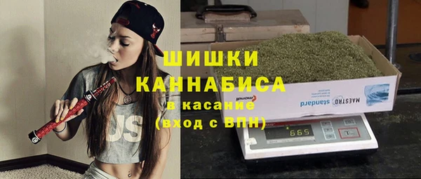 бошки Богданович