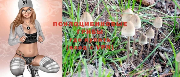 крисы Бронницы