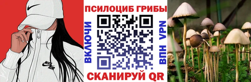 Галлюциногенные грибы Magic Shrooms Оренбург